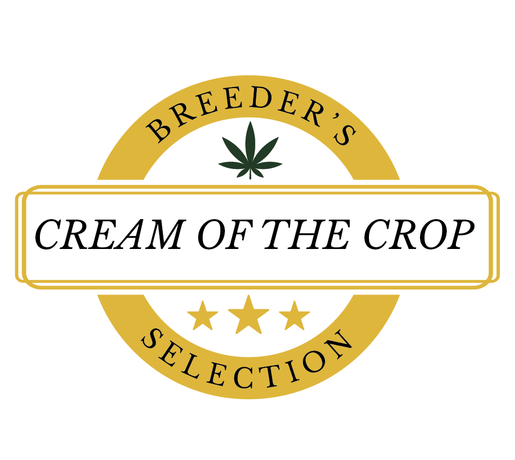 Atlas Seed - Breeders Selection Cream of the Crop
