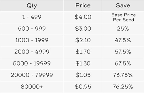 Autoflower Bulk Price