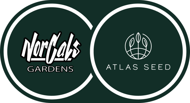 NorCals Gardens - Atlas Seed Collab