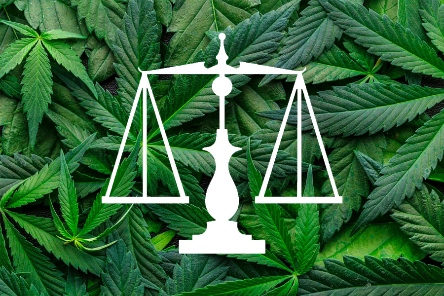 Compliance for Cannabis Farming and Hemp Agriculture