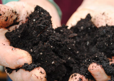 Reusing Soil In Cannabis Growing