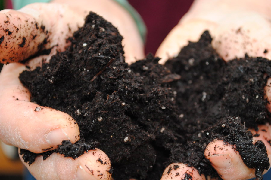 Reusing Soil In Cannabis Growing