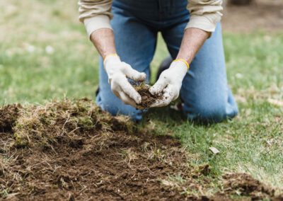 A Farmer’s Expertise in Preparing Soil for Cannabis Production