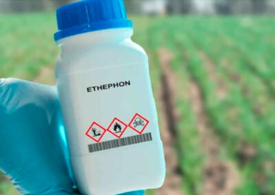 Ethephon: A Powerful Tool to Suppress Male Flowering in Cannabis