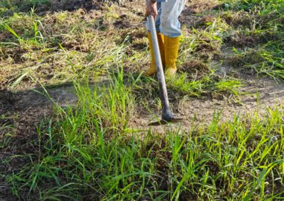 Hand Cultivation Tools