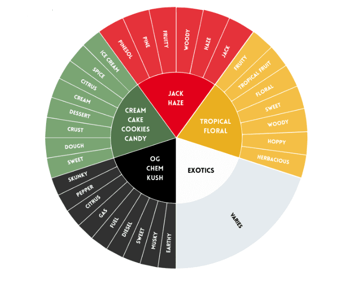 Cannabis Aroma Families