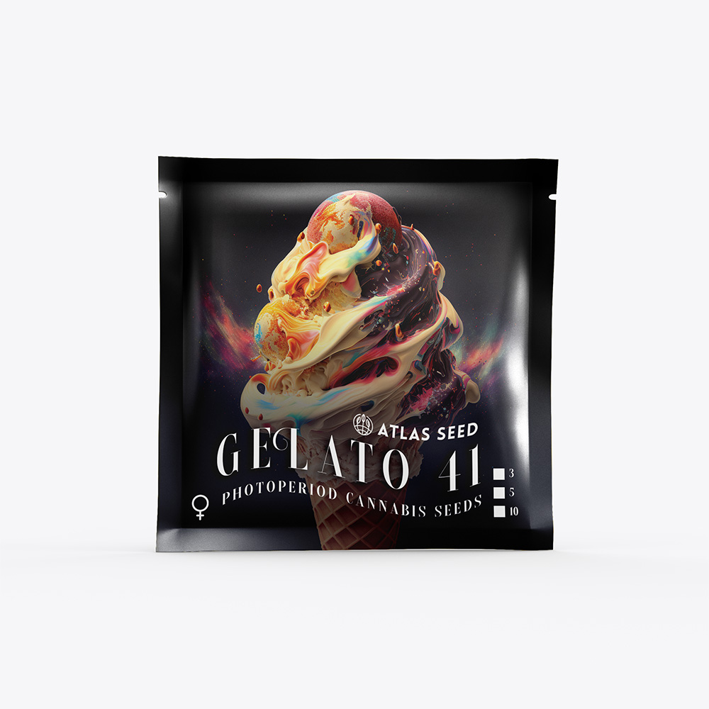 Atlas Seed – Gelato 41 Seed Pack