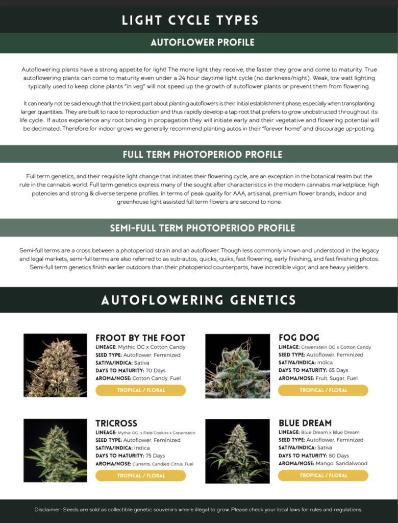 cannabis seed catalog page 4