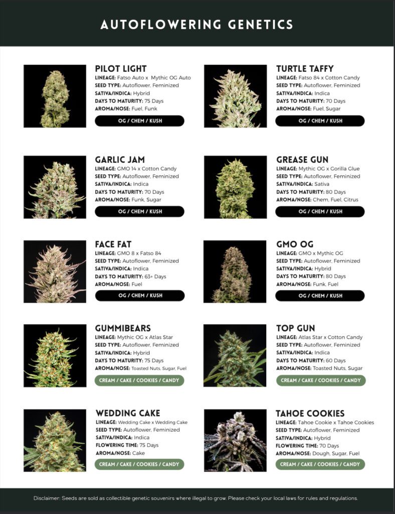 cannabis seed catalog page 8