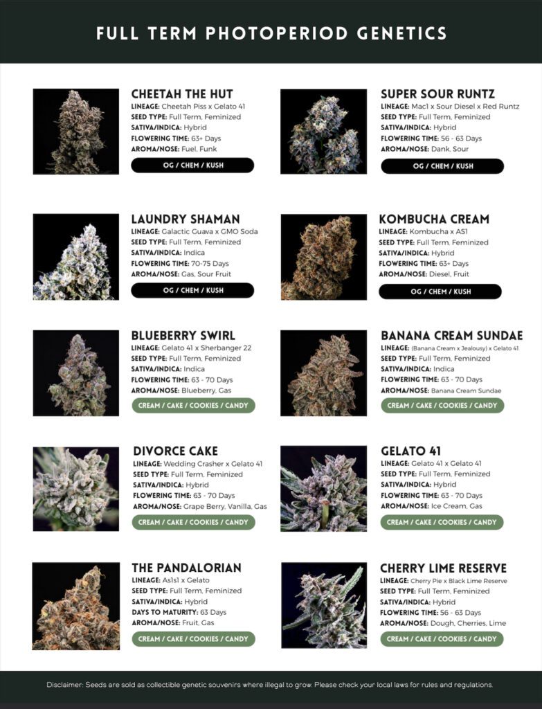 cannabis seed catalog page 5