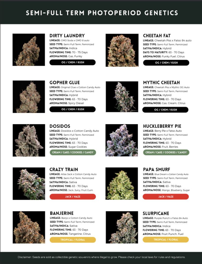 cannabis seed catalog page 7