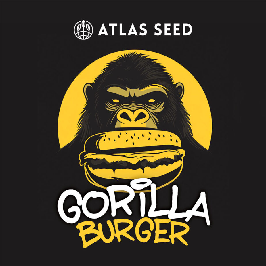 Gorilla Burger - Seed Pack - Image 3
