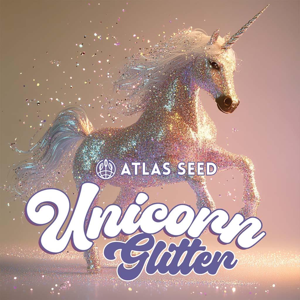 Unicorn Glitter - Seed Pack - Image 3