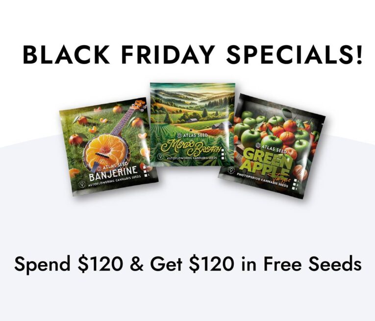 Black Friday Promo Buy 3 Seed Packs, Get 2 Free